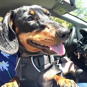 Meet your Posher, Andrew